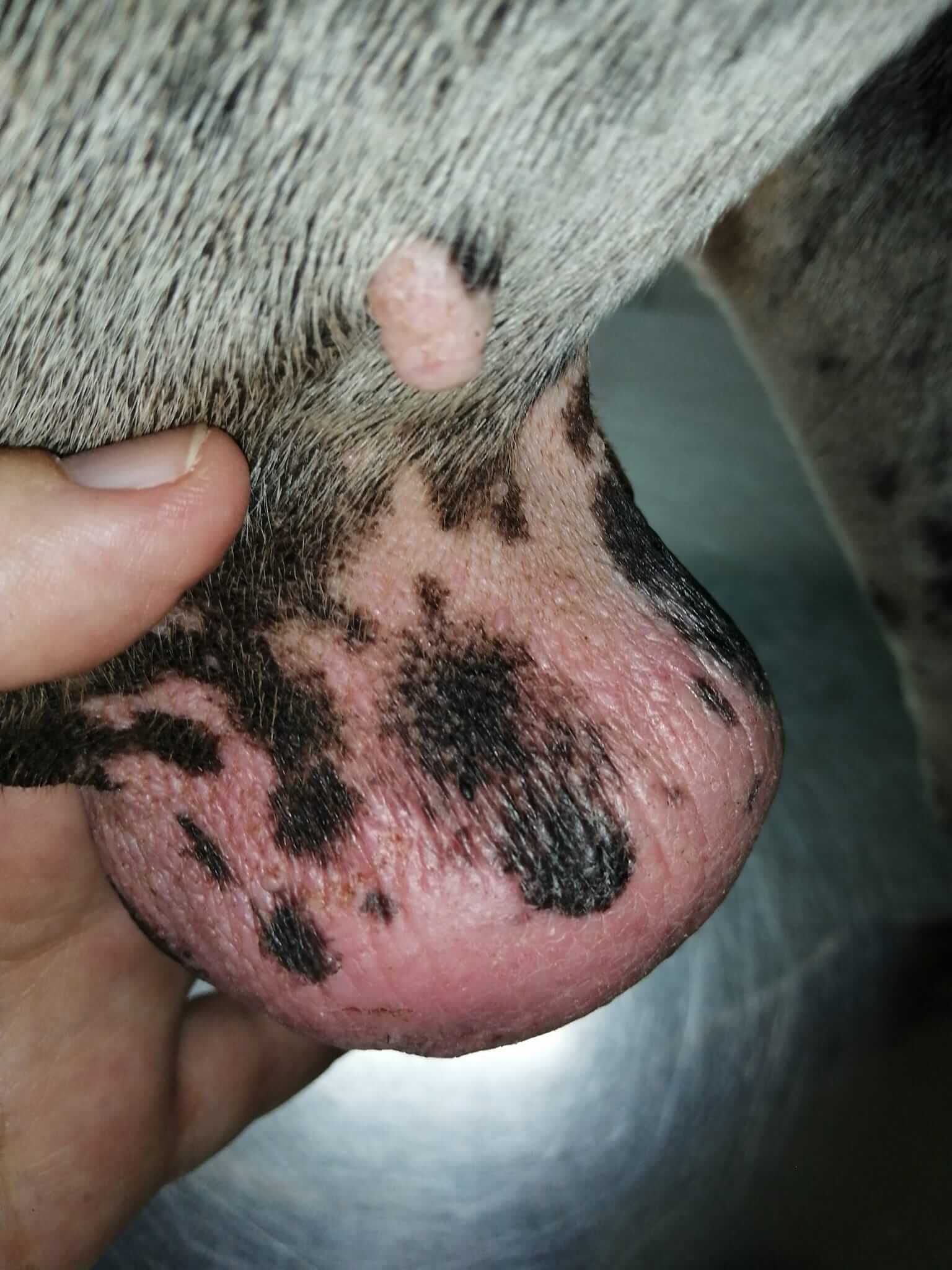 Imagen Galería 2