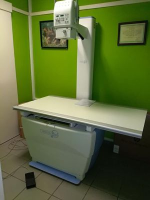 Imagen Galería: 