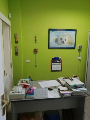 Imagen Galería: 